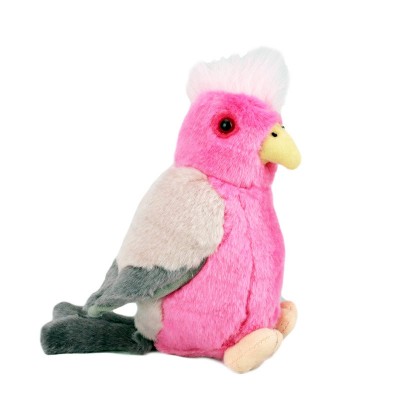 Bird with Sound Galah Bird with Sound Galah